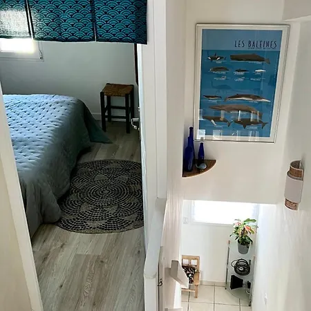 Tatil Evi Maison De Village Avec Jardin A 3 Km Des Plages. Loupian